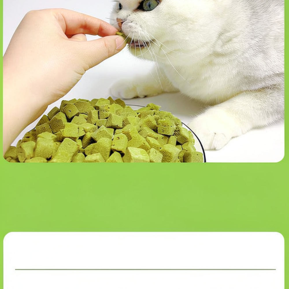 Gefriergetrocknete Katzengras- – Healthy Snacks Food Bewertung und Preis