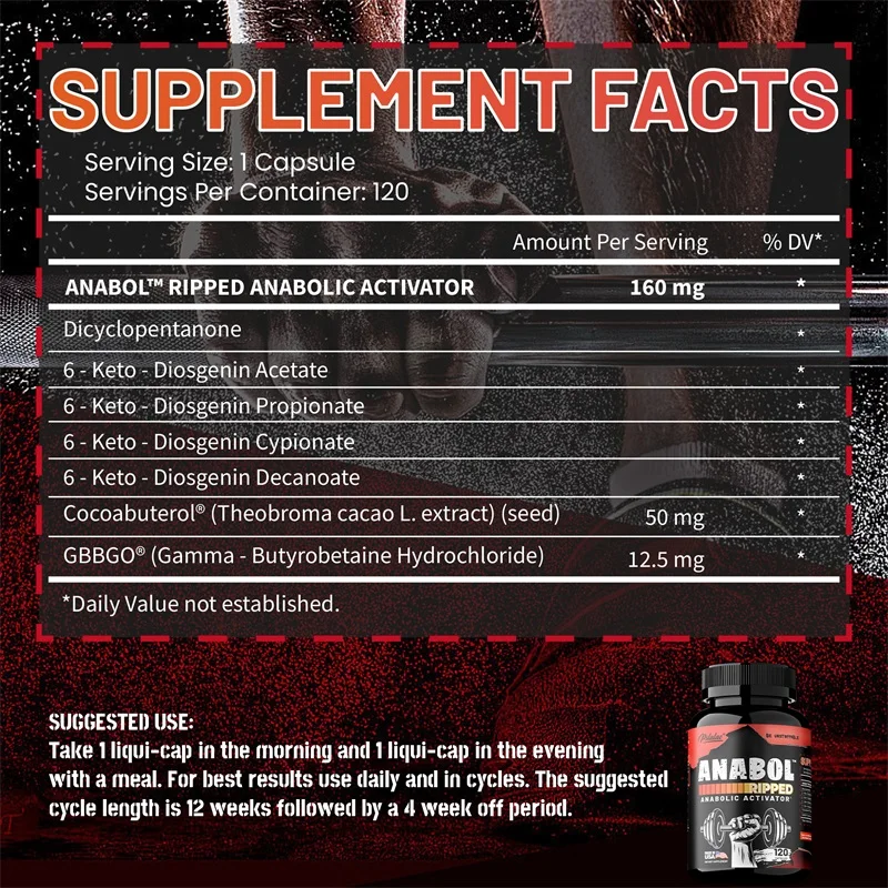 Muscle Builder-Kapseln – hilft – Protein Bar Bewertung und Preis