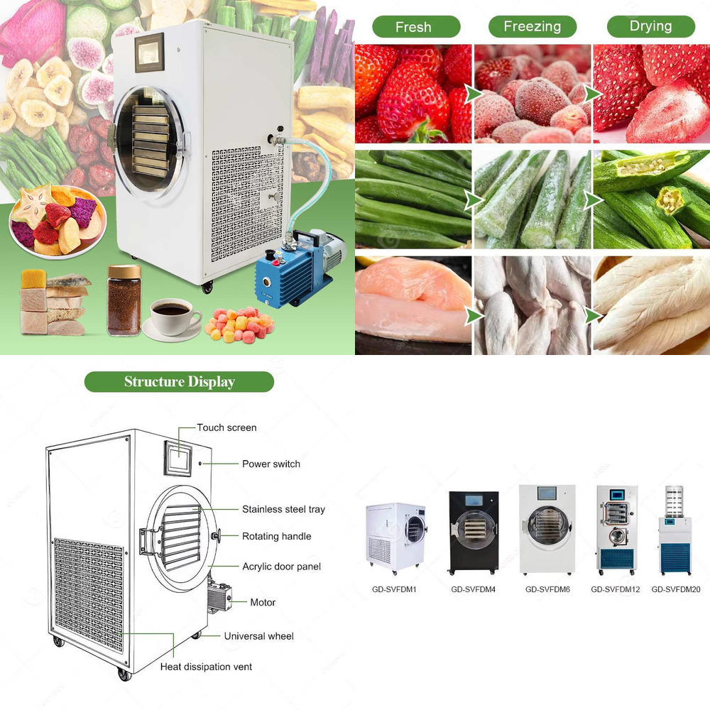 Kleine Gefrieren Mini Liofiliz – Dried Fruit Bewertung und Preis