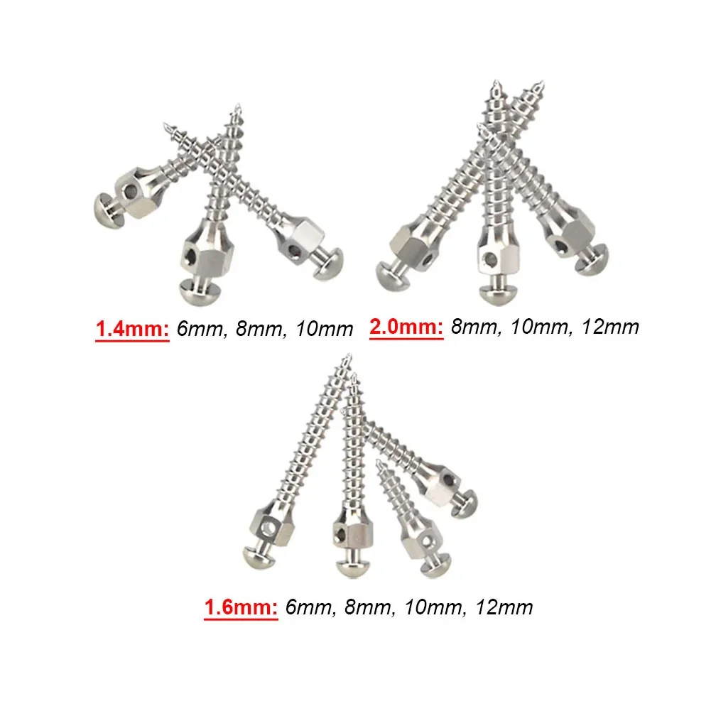 10Pcs Dental Kieferorthopädisc – Nuts Mix Bewertung und Preis