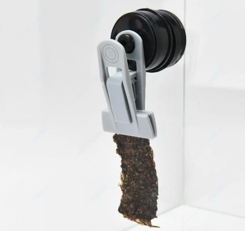 Vasto cean Veggie-Mag Fütterun – Seaweed Snack Bewertung und Preis